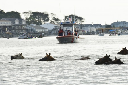 The ponies make the annual swim from Assateague Island, Va., to Chincoteague Island, Va., during the 90th Pony Swim on Virginia’s Eastern Shore, Wednesday, July 29, 2015. Crew members from U.S. Coast Guard Station Chincoteague enforced the safety zone where thousands of spectators gathered for the event. (U.S. Coast Guard photo by Petty Officer 2nd Class Nate Littlejohn)