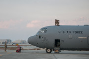 An Airman from the 455th Expeditionary Aircraft Maintenance Squadron climbs through the hatch of a C-130J Super Hercules after an engine test at Bagram Airfield, Afghanistan, Jan. 12, 2016. The 455th EAMXS ensures aircraft are prepared for flight and return them to a mission-ready state once they land. (U.S. Air Force photo/Tech. Sgt. Robert Cloys)