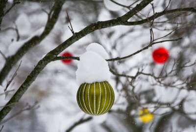 Christmas ornaments hang on a tree in Kalamazoo, Mich., on Sunday, Dec. 11, 2016. Snow from snow showers earlier in the week and Winter Storm Caly have blanketed Kalamazoo with inches of snow. (Chelsea Purgahn//Kalamazoo Gazette-MLive Media Group via AP)