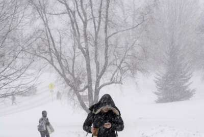 Williams College students trek across the snowy campus in Williamstown, Mass., during a winter storm which brought blizzard conditions and heavy snow to the region. Sunday, Feb. 12, 2017. (Gillian Jones/The Berkshire Eagle via AP)