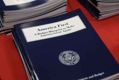 Copies of President Donald Trump's first budget are displayed at the Government Printing Office in Washington, Thursday, March, 16, 2017. Trump unveiled a $1.15 trillion budget on Thursday, a far-reaching overhaul of federal government spending that slashes many domestic programs to finance a significant increase in the military and make a down payment on a U.S.-Mexico border wall.  (AP Photo/J. Scott Applewhite)