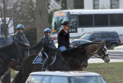 In this photo provided by the Interior Department shows Interior Secretary Ryan Zinke arriving for his first day of work at the Interior Department in Washington, Thursday, March 2, 2017, aboard Tonto, an 17-year-old Irish sport horse.  (Interior Department via AP)