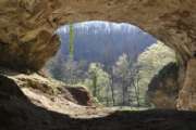 The undated photo provided by the  Max Planck Institute for Evolutionary Anthropology shows the entrance to the archaeological site of Vindija Cave, Croatia. Scientists say they have succeeded in extracting DNA of ancient humans from sediment in caves where no bones were found in what could provide vast amounts of genetic material for future research  (Johannes Krause, Max Planck Institute for Evolutionary Anthropology via AP)