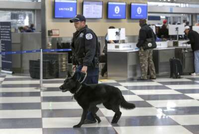FILE - In this March 22, 2016, file photo, a Chicago Police K-9 officer and his dog walk through a terminal at O'Hare International Airport in Chicago. The Chicago Department of Aviation announced Wednesday, July 12, 2017, a new directive designating Chicago Police officers as the lead on all disturbance calls at the airports, in addition to those on aircrafts. This new directive comes after the CDA's review of the Aviation Security Division after a United passenger was forcibly removed by Aviation Security officers in April. (AP Photo/Teresa Crawford, File)