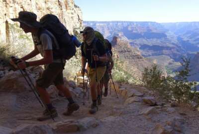 FILE - In this July 27, 2015, file photo, a long line of hikers head out of the Grand Canyon along the Bright Angel Trail at Grand Canyon National Park, Ariz. The U.S. federal government announced Wednesday, Aug. 16, 2017, it will eliminate a policy it put in place to allow national parks like the Grand Canyon to ban the sale of bottled water in an effort to curb litter. (AP Photo/Ross D. Franklin, File)