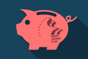 TSP thrift savings plan pig