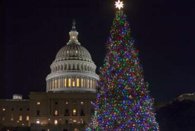 The Capitol Christmas tree is illuminated as lawmakers in the Senate work late into the evening on the Republican tax bill, in Washington, Tuesday, Dec. 19, 2017. (AP Photo/J. Scott Applewhite)