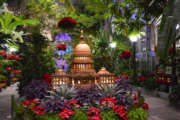 usbg_holiday_show_-_capitol_building_and_poinsettias_2