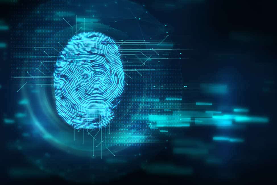 Finger print Scanning Identification System. Biometric Authorization and Business