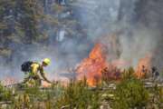 A wildland firefighter works to contain the flames at the Buffalo Fire site Wednesday, June 13, 2018, near Silverthorne, Colo. As of 10:45 am Wednesday, the 91 acre fire is 0 percent contained but no homes were damaged.  (Hugh Carey/Summit Daily News via AP)