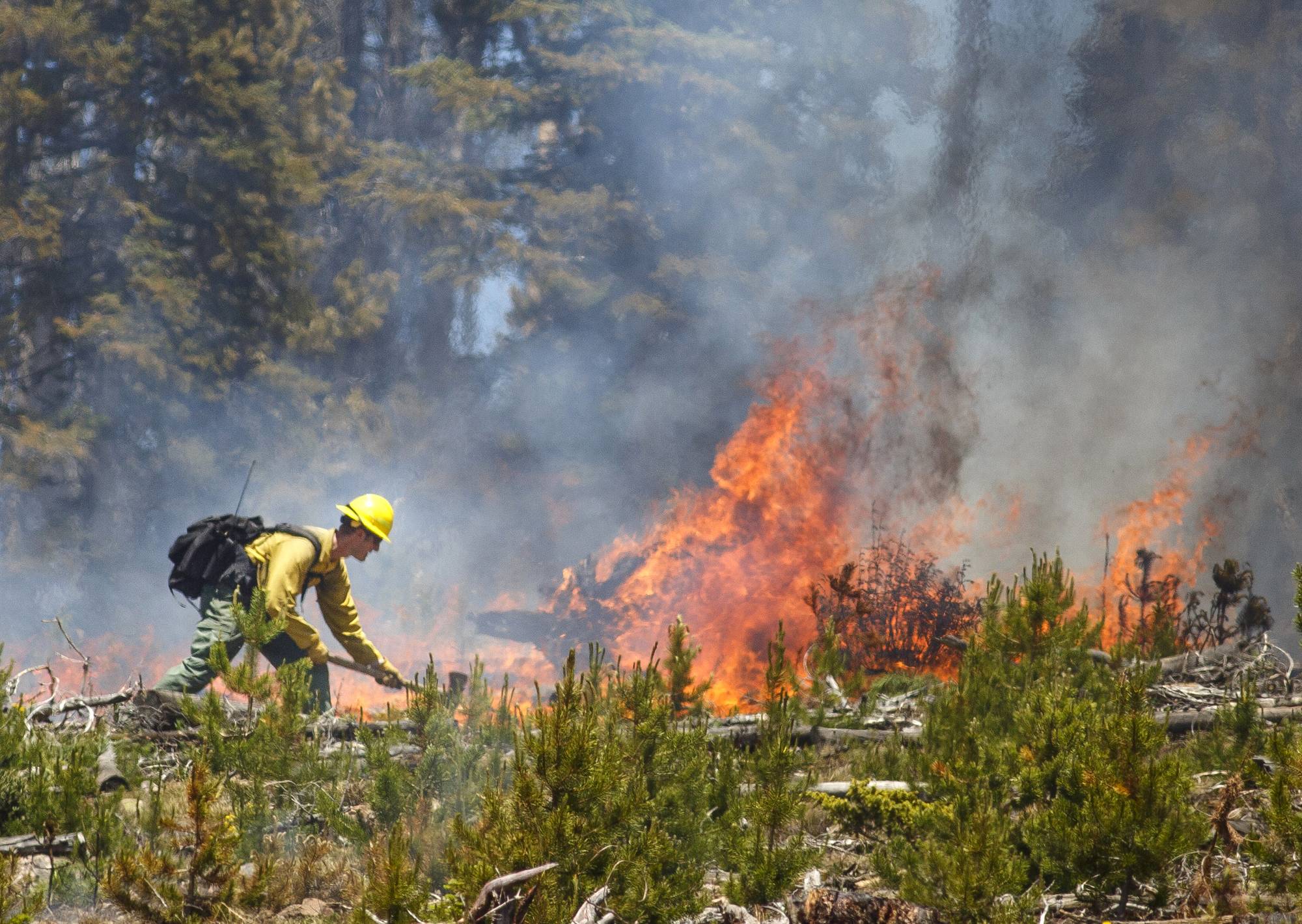 A wildland firefighter works to contain the flames at the Buffalo Fire site Wednesday, June 13, 2018, near Silverthorne, Colo. As of 10:45 am Wednesday, the 91 acre fire is 0 percent contained but no homes were damaged.  (Hugh Carey/Summit Daily News via AP)