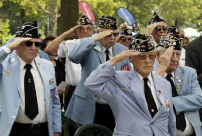 Korean War Veterans salute as the honor guard presents the American flag at the Korean War memorial at Battery Park in New York, Friday, July 27, 2018. Korean War veterans have something extra to celebrate as they mark the 65th anniversary of the armistice that ended combat. (AP Photo/Stephen Groves)