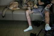 Alex lays down on his owner Army Spc. Alec Alcoser as the pair reunite at Audie L. Murphy Memorial VA Hospital, Friday, Sept. 14, 2018, in San Antonio, Texas. Alcoser was a military dog handler who suffered a traumatic brain injury and his dog lost a leg after they were hit by the blast of a suicide bomber in Afghanistan Aug. 5. Currently, Alcoser is receiving care at the VA's polytrauma unit, while Alex is rehabilitating at Joint Base San Antonio-Lackland.(Josie Norris/The San Antonio Express-News via AP)