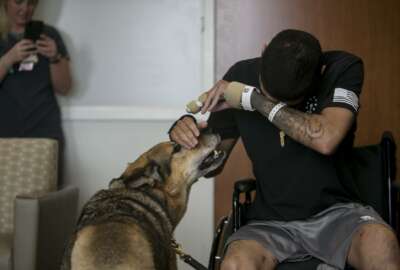 Army Spc. Alec Alcoser wipes away tears as he is reunited with his dog Alex at Audie L. Murphy Memorial VA Hospital, Friday, Sept. 14, 2018, in San Antonio, Texas. Alcoser was a military dog handler who suffered a traumatic brain injury and his dog lost a leg after they were hit by the blast of a suicide bomber in Afghanistan Aug. 5. Currently, Alcoser is receiving care at the VA's polytrauma unit, while Alex is rehabilitating at Joint Base San Antonio-Lackland.  (Josie Norris/The San Antonio Express-News via AP)