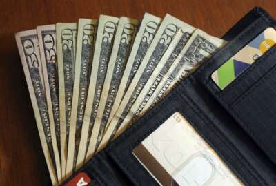 In this June 15, 2018 photo, cash is fanned out from a wallet in North Andover, Mass. On Thursday, Aug. 20, the Federal Reserve reports on household wealth for the April-June quarter. (AP Photo/Elise Amendola)