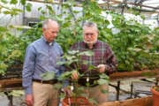 Johnie Jenkins, right, is a scientist at the Agricultural Research Service.