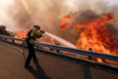 In this Nov. 12, 2018 file photo a firefighter battles a fire along the Ronald Reagan Freeway, aka state Highway 118, in Simi Valley, Calif. A group of U.S. senators from around the American West sent a letter to President Trump warning that firefighting academies that provide required annual training for thousands of front-line fire crews are canceling classes because their federally employed instructors are on furlough. (AP Photo/Ringo H.W. Chiu, File)