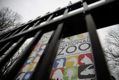 The gate of the closed Smithsonian's National Zoo is seen, Wednesday, Jan. 2, 2019, in Washington. Smithsonian's National Zoo due to the partial government shutdown. President Donald Trump is convening a border security briefing Wednesday for Democratic and Republican congressional leaders as a partial government shutdown over his demand for border wall funding entered its 12th day. (AP Photo/Carolyn Kaster)