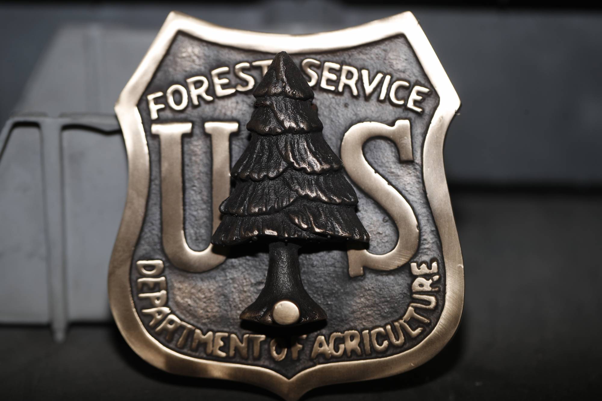 US Forest Service door knocker