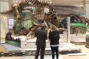 Federal News Network's Tom Temin and the Smithsonian's Siobhan Starrs check out the redesigned paleontology exhibit at the National Museum of Natural History before its opening.