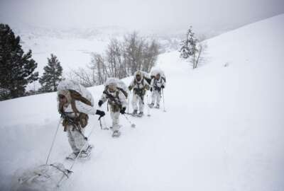 A group of U.S. Marines walk along a snow-covered trail during their advanced cold-weather training at the Marine Corps Mountain Warfare Training Center Sunday, Feb. 10, 2019, in Bridgeport, Calif. After 17 years of war against Taliban and al-Qaida-linked insurgents, the military is shifting its focus to better prepare for great-power competition with Russia and China, and against unpredictable foes such as North Korea and Iran. (AP Photo/Jae C. Hong)