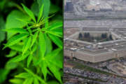 marijuana pentagon Defense Department DoD pot security clearance