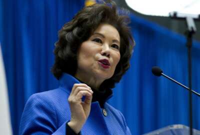 FILE - In this Dec. 11, 2018 file photo, Transportation Secretary Elaine Chao speaks during a major infrastructure investment announcement at transportation headquarters in Washington. The Transportation Department confirmed that its watchdog agency will examine how the FAA certified the Boeing 737 Max 8 aircraft, the now-grounded plane involved in two fatal accidents within five months. Transportation Secretary Elaine Chao formally requested the audit in a letter to Inspector General Calvin Scovel III. Chao, whose agency oversees the FAA, said the audit will improve the department's decision-making. Her letter confirmed that she had previously requested an audit but did not mention reports that the inspector general and federal prosecutors are looking into the development and regulatory approval of the jet. (AP Photo/Jose Luis Magana, File)