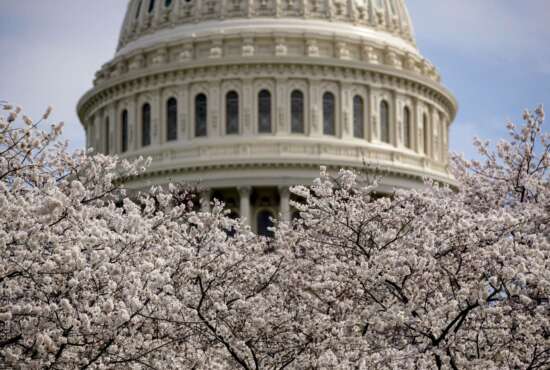 FILE- In this March 30, 2019, file photo the Dome of the U.S. Capitol Building is visible as cherry blossom trees bloom on the West Lawn in Washington. On Wednesday, April 10, the Treasury Department releases federal budget data for March. (AP Photo/Andrew Harnik, File)