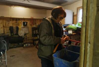 In this Friday, April 5, 2019, photo, Kelly Povroznik grabs a few carrots from inside her storage space to give to her horses in their pasture outside of Clarksburg, W.Va. Povroznik teaches an online college course that has been hampered by slow connections on her computer and phone. There is widespread agreement that expanding broadband internet in rural America is desperately needed. (AP Photo/Craig Hudson)