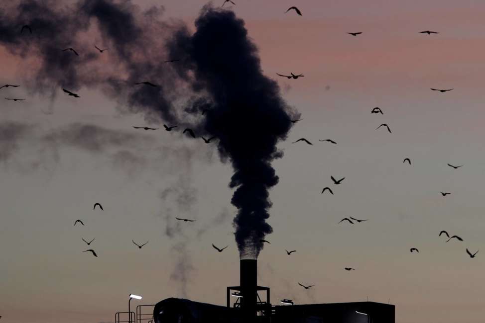 FILE - In this Dec. 4, 2018, file photo, birds fly past a smoking chimney in Ludwigshafen, Germany. Development that’s led to loss of habitat, climate change, overfishing, pollution and invasive species is causing a biodiversity crisis, scientists say in a new United Nations science report released Monday, May 6, 2019. (AP Photo/Michael Probst, File)