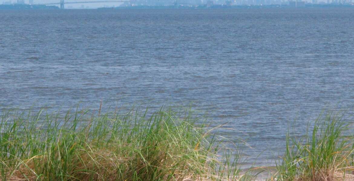 FILE – In this June 3, 2019 file photo, the New York City skyline is seen behind Raritan Bay from Middletown, N.J. On Thursday, Feb. 20, 2020, Oklahoma-based Williams Companies said it is resuming its effort to gain approval from New Jersey environmental regulators for a nearly $1 billion pipeline that would bring natural gas from Pennsylvania through New Jersey, out into Raritan Bay and into the ocean before reaching New York and Long Island. (AP Photo/Wayne Parry, File)