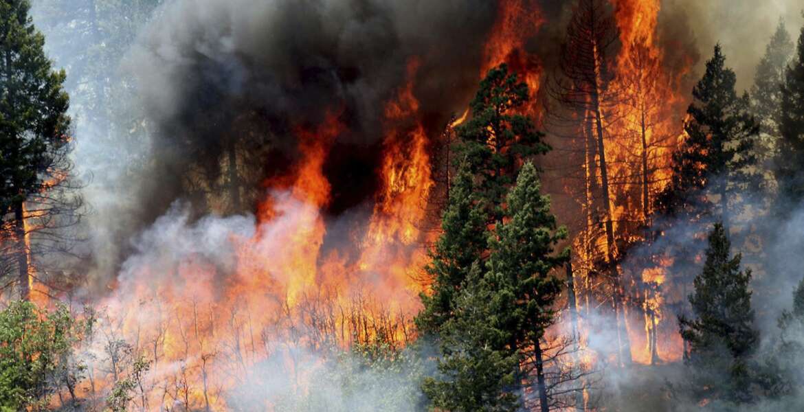 FILE - In this June 11, 2018, file photo, flames consume trees during a burnout operation that was performed south of County Road 202 near Durango, Colo. A report by the U.S. Geological Survey shows investments made to reduce the risk of wildfire in forested areas are paying dividends when it comes to creating jobs and infusing money in local economies. The study focused on several counties along the New Mexico-Colorado border that make up the watershed of the Rio Grande. (Jerry McBride/The Durango Herald via AP, File)