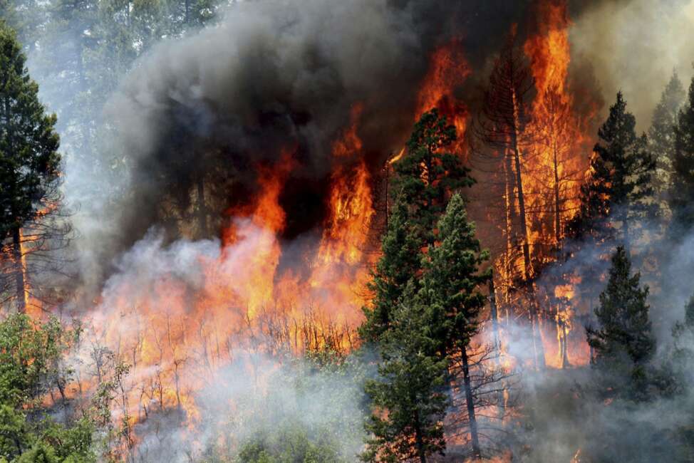 FILE - In this June 11, 2018, file photo, flames consume trees during a burnout operation that was performed south of County Road 202 near Durango, Colo. A report by the U.S. Geological Survey shows investments made to reduce the risk of wildfire in forested areas are paying dividends when it comes to creating jobs and infusing money in local economies. The study focused on several counties along the New Mexico-Colorado border that make up the watershed of the Rio Grande. (Jerry McBride/The Durango Herald via AP, File)