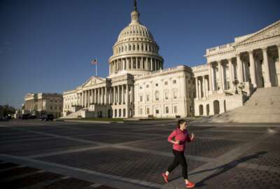The Capitol is seen as House lawmakers prepare to debate emergency coronavirus response legislation on Capitol Hill, Friday, March 27, 2020, in Washington. (AP Photo/Andrew Harnik)
