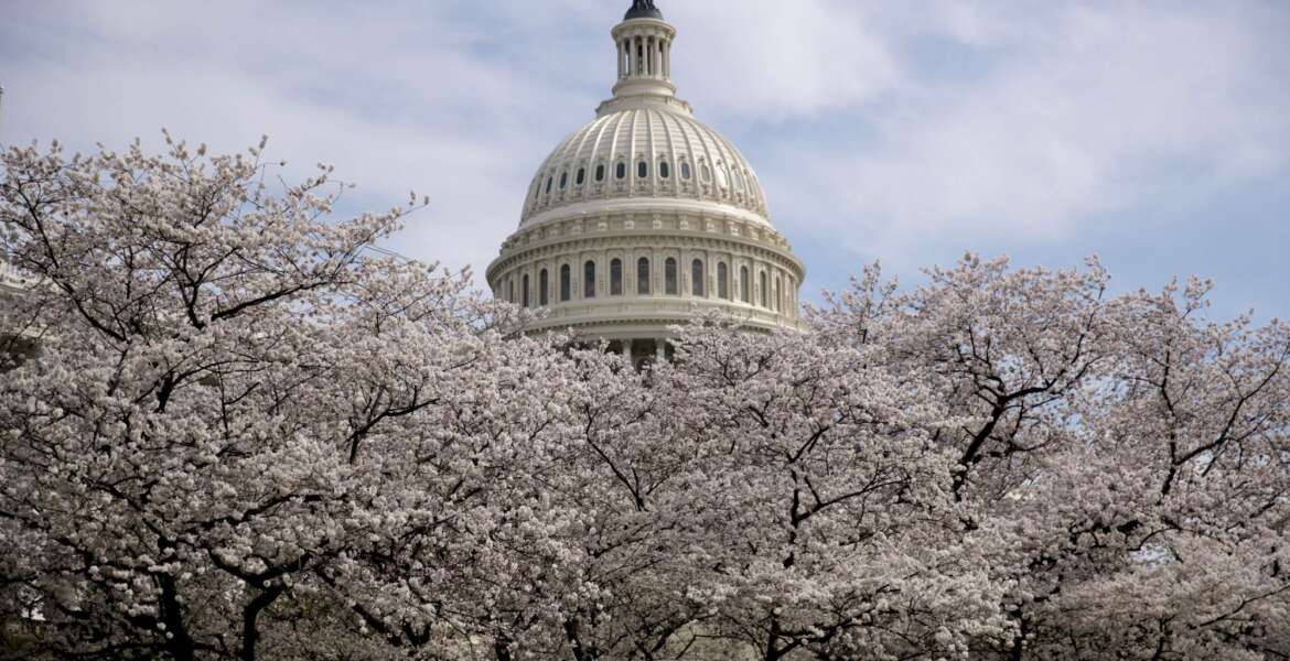 FILE - In this March 30, 2019, file photo the Dome of the U.S. Capitol Building is visible as cherry blossom trees bloom on the West Lawn in Washington. Washington health officials recommended on Wednesday, March 11, 2020, that all “non-essential mass gatherings, including conferences and conventions,” be postponed or canceled through the end of March, a move that could imperil the popular Cherry Blossom Festival. (AP Photo/Andrew Harnik)