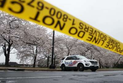 A Washington D.C. Metropolitan Police vehicle is parked on the other side of a tape police line along the Tidal Basin as cherry blossoms cover the trees, in Washington, Monday, March 23, 2020. As Washington, D.C. continues to work to mitigate the spread of the coronavirus (COVID-19), Mayor Muriel Bowser extended road closures and other measures to restrict access to the Tidal Basin, a main tourist attraction. (AP Photo/Carolyn Kaster)