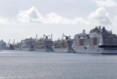 Cruise ships are docked at PortMiami, Tuesday, March 31, 2020, in Miami. (AP Photo/Wilfredo Lee)