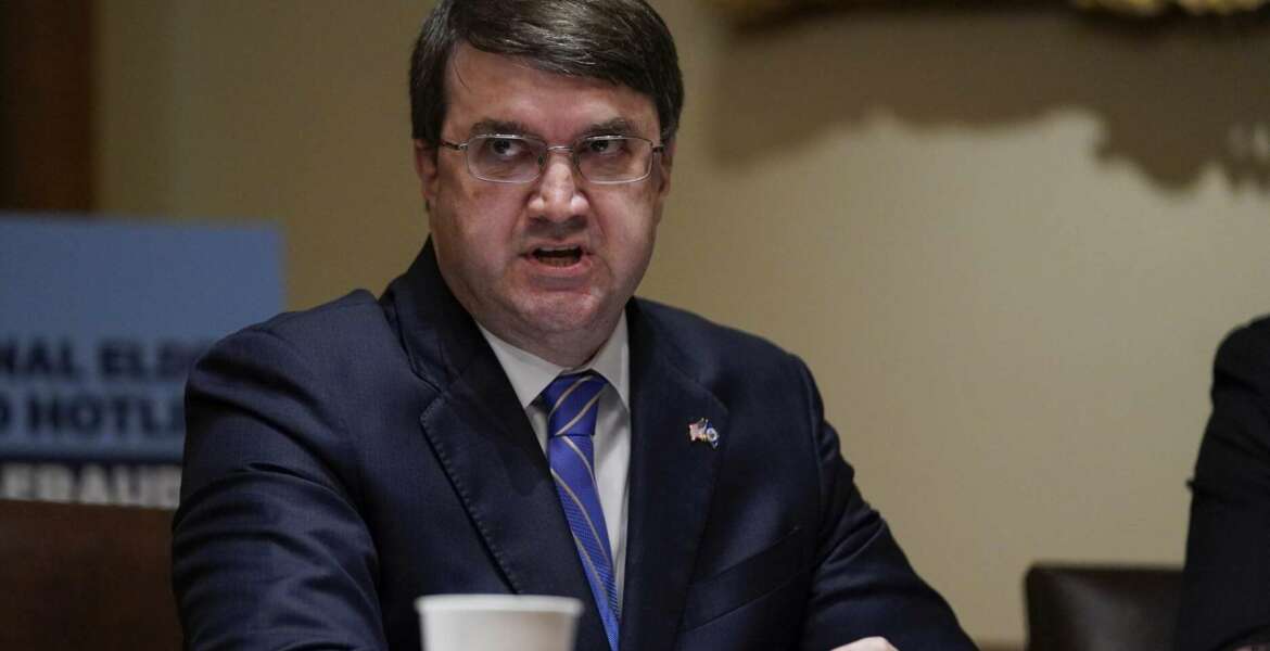 Veterans Affairs Secretary Robert Wilkie speaks during a roundtable with President Donald Trump about America's seniors, in the Cabinet Room of the White House, Monday, June 15, 2020, in Washington. (AP Photo/Evan Vucci)