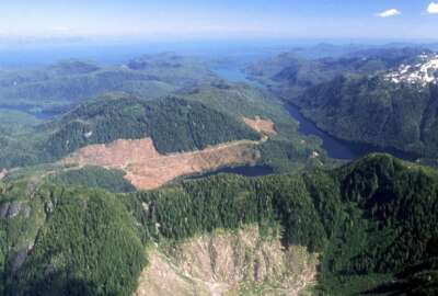 FILE - This 1990 aerial file photo, shows a section of the Tongass National Forest in Alaska that has patches of bare land where clear-cutting has occurred. The U.S. Forest Service announced plans Wednesday, Oct. 28, 2020, to lift restrictions on road building and logging in Tongass National Forest, a largely pristine rainforest in southeast Alaska that provides habitat for wolves, bears and salmon. Conservation groups vowed to fight the decision. (Hall Anderson/Ketchikan Daily News via AP, File)