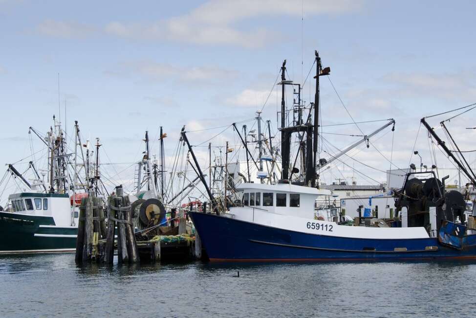 New England fisheries video shoot for NOAA and Ocean Media Center