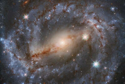 This stunning image by the NASA/ESA Hubble Space Telescope features the spiral galaxy NGC 5643 in the constellation of Lupus (The Wolf). Looking this good isn’t easy; thirty different exposures, for a total of 9 hours observation time, together with the high resolution and clarity of Hubble, were needed to produce an image of such high level of detail and of beauty. NGC 5643 is about 60 million light-years away from Earth and has been the host of a recent supernova event (not visible in this latest image). This supernova (2017cbv) was a specific type in which a white dwarf steals so much mass from a companion star that it becomes unstable and explodes. The explosion releases significant amounts of energy and lights up that part of the galaxy. The observation was proposed by Adam Riess, who was awarded a Nobel Laureate in physics 2011 for his contributions to the discovery of the accelerating expansion of the Universe, alongside Saul Perlmutter and Brian Schmidt.