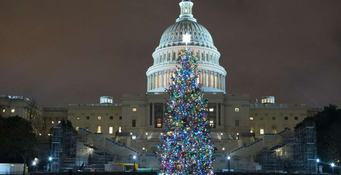 U.S. Capitol Christmas Tree is seen at the U.S. Capitol at night after negotiators sealed a deal for COVID relief Sunday, Dec. 20, 2020, in Washington. Top Capitol Hill negotiators sealed a deal Sunday on an almost $1 trillion COVID-19 economic relief package, finally delivering long-overdue help to businesses and individuals and providing money to deliver vaccines to a nation eager for them. (AP Photo/Jose Luis Magana.