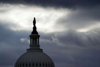 The bronze Statue of Freedom, by Thomas Crawford, is the crowning feature of the dome of the U.S. Capitol, shown ahead of the inauguration of President-elect Joe Biden and Vice President-elect Kamala Harris, Sunday, Jan. 17, 2021, in Washington. (AP Photo/Julio Cortez)