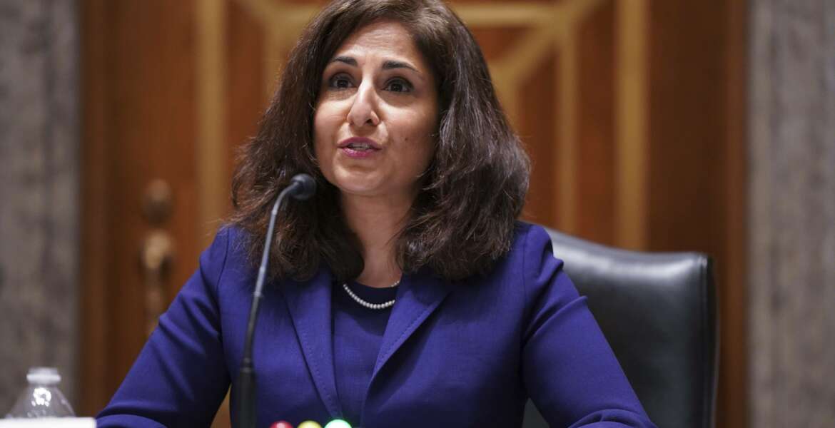 Neera Tanden testifies before the Senate Homeland Security and Government Affairs committee on her nomination to become the Director of the Office of Management and Budget (OMB), during a hearing Tuesday, Feb. 9, 2021 on Capitol Hill in Washington.  (Leigh Vogel/Pool via AP)