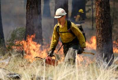 In this May 14, 2021, photo provided by the High Desert Museum, U.S. Forest Service firefighters carry out a prescribed burn on the grounds of the High Desert Museum, near Bend, Oregon. The prescribed burn is part of a massive effort in wildlands across the West to prepare for a fire season that follows the worst one on record. (Kyle Kosma/High Desert Museum via AP)