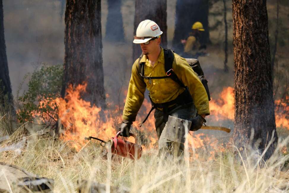 In this May 14, 2021, photo provided by the High Desert Museum, U.S. Forest Service firefighters carry out a prescribed burn on the grounds of the High Desert Museum, near Bend, Oregon. The prescribed burn is part of a massive effort in wildlands across the West to prepare for a fire season that follows the worst one on record. (Kyle Kosma/High Desert Museum via AP)