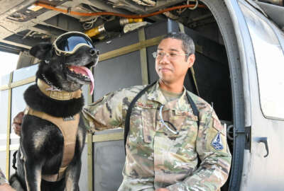 The 301st Rescue Squadron partnered with the 45th Security Forces Squadron’s Military Working Dog Section to provide HH-60G Pave Hawk helicopter flight familiarization to one of their dogs, Nero, and two handlers at Space Launch Delta 45, Florida.