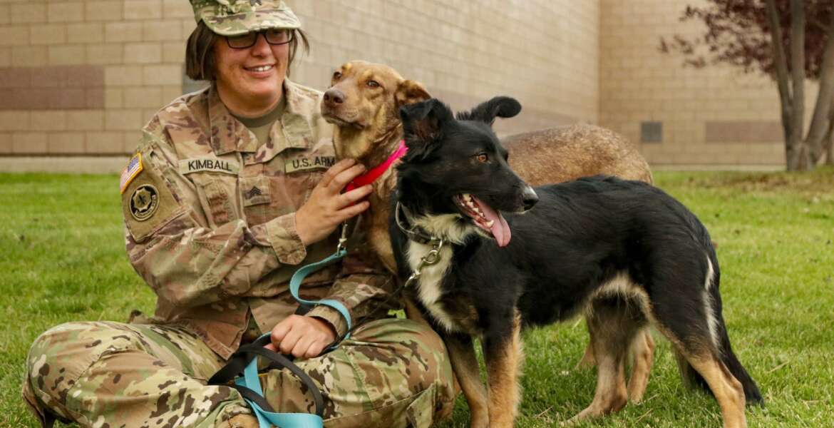 Sgt. Corina Kimball, an intelligence noncommissioned officer from Great Falls, Mont., with the 652nd Regional Support Group, sits with her dogs Cinnamon, left, and Pepper, right, Sept. 14, 2020 at Fort William Henry Harrison, Helena, Mont. The pair became two of the first rescue dogs from Poland when they reunited with Kimball Aug. 2, 2020 in Seattle, Wash. (Master Sgt. Ryan Matson)

