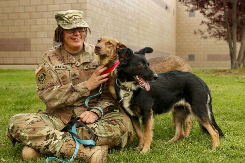 Sgt. Corina Kimball, an intelligence noncommissioned officer from Great Falls, Mont., with the 652nd Regional Support Group, sits with her dogs Cinnamon, left, and Pepper, right, Sept. 14, 2020 at Fort William Henry Harrison, Helena, Mont. The pair became two of the first rescue dogs from Poland when they reunited with Kimball Aug. 2, 2020 in Seattle, Wash. (Master Sgt. Ryan Matson)

