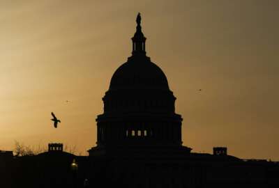 FILE - In this March 4, 2021, a bird flies near the U.S. Capitol dome at sunrise in Washington. The Republican fundraising committee dedicated to flipping the House in the 2022 midterm elections says it raised more than $105 million this year through September 2021. The record haul marks a 74% increase over last cycle and includes $25.8 million raised in the third quarter of the year. (AP Photo/Carolyn Kaster, File)